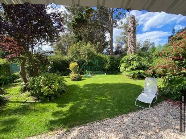 Chalet Bosque Peralta Ramos