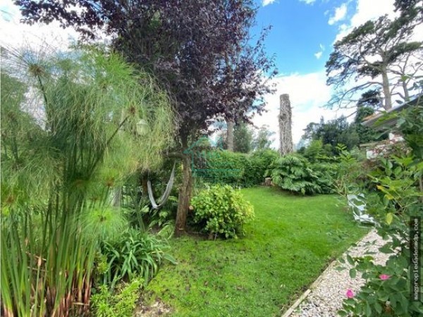 Chalet Bosque Peralta Ramos