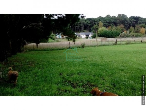 Lote Sierra de Los Padres