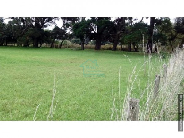 Lote Sierra de Los Padres