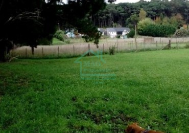 Lote Sierra de Los Padres